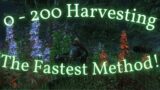 New World Harvesting Route – Brightwood/Windsward – Level 200 Harvesting