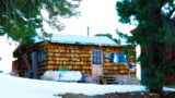 Off Grid Cabin Forgotten in the Woods With a Shady Past