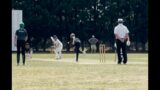 Opening bowling spell – Dorset VS Wiltshire Shadow Four overs 2-9.Under 11
