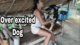 Our Dog's reaction Seeing us home from a short vacation | Living in the Province of Negros Oriental