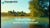 PONDERFUL: ponds to the rescue?