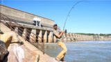 RIVER MONSTER Fishing Under This GIANT DAM!!! — (Non-stop Action!)