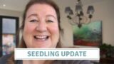 Seedling Update Sweet Peas Wallflowers And Sweet Williams / Distressed Terracotta Pots