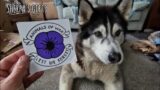 Sherpa the Malamute Opens His Mail