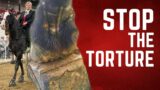 Stop the Torture – Horse Shelter Heroes S3E37