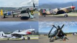 Symphony of Piston Engines – Formation of Eight WWII Warbirds (Mustang, Corsair, Spitfire etc)