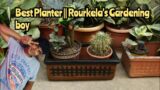 Terracotta Planter for Garden Lovers || Rourkela #rourkela #gardening #dailyvlog