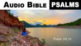 The Book of Psalms (Audio Bible), with verses.