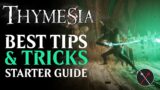 Thymesia Beginner Guide: Top 10 Things All Players Should Know