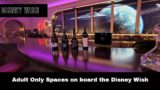 Tour the Adult Only Spaces on board the Disney Wish