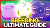 ULTIMATE Breeding Guide: Perfect IVs, Natures, Egg Moves, Hidden Ability | Pokemon Scarlet & Violet