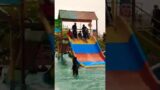 Varanasi Best Waterpark #shorts #waterpark #funcity #aquajungle #funtasia #trending #viral #varanasi