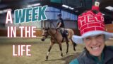 WEEK IN LIFE THE LIFE VLOG | Horse Swap / Winter Riding Routine | Work/Life Balance