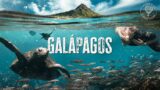 We Found REAL-LIFE Paradise (Galapagos)