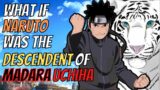 What If Naruto Was The Descendent Of Madara Uchiha | Finale | [ OP Naruto ]