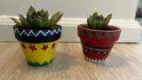 Which all items cooked in Last week- Painted terracotta pots
