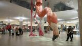 Why is there a flamingo at Tampa International Airport?