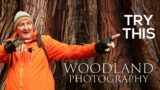 Woodland Photography TRY THIS