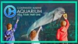 Zoo Tours: Clearwater Marine Aquarium | Full Tour | PART ONE