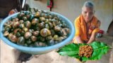 cooking masala snail fry by tribal mother | snail recipe @Tribe People Cooking