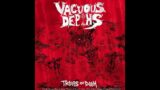 "Troops of Doom" (Sepultura cover) – Vacuous Depths, "Corporal Humiliation" 2022