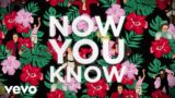"Weird Al" Yankovic – Now You Know (Official Lyric Video)