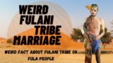 weird marriage proposal | tribe facts | Amazing marriage facts | just Amazing