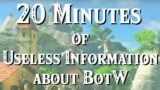 20 Minutes of Useless Information about BotW
