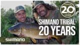 20 YEARS OF SHIMANO TRIBAL
