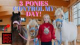 3 PONIES CONTROL MY DAY!!!  *ROLO IS EXTRA SPICY!*