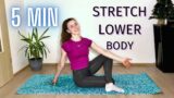 5 MIN Lower Body Stretch | No Equipment | For Flexibility & Mobility