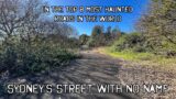 Abandoned Oz – Sydney’s Street with No Name – One of the Worlds Most Haunted Roads