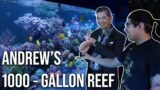 Andrew's 1000-gallon Mixed Reef Aquarium in Las Vegas