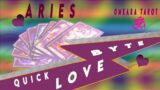 Aries Tarot – THE RUNNER STOPPED IN THEIR TRACKS !! / Love Bytes / December 2022 /