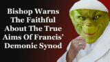 Bishop Warns The Faithful About The True Aims Of Francis' Demonic Synod