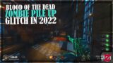 Black Ops 4 Zombies Pile Up Glitch On BLOOD OF THE DEAD In 2022