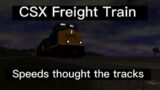 CSX Freight train speeds thought the tracks