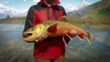 Call Of The Wild The Angler, New Reserve Trailer Norway, Overview