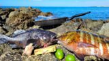 Catch'n Cook'n EXOTIC Fish on a FOREIGN ISLAND!