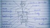 Chapter 6 life process class 10 science #video