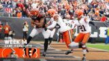 Cleveland Browns vs. Cincinnati Bengals | 2022 Week 14 Game Highlights