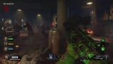 Cod zombies highest round blood of the dead part 2