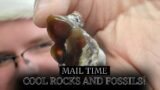 Cool Rocks and Fossils – Mail Time