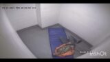 Cop strangles and beats inmate while completely shackled in Creola city Jail in Creola, AL