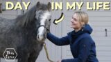 Day in the Life of Duke the Rescue Pony! This Esme