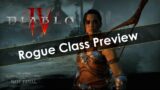Diablo 4 Rogue Class Preview