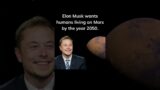 Elon Musk On Mars #shorts