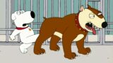Family Guy Season 1 Episode 7 Full – Family Guy New 2022 Nocuts 1080p