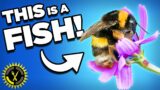 Food Theory: Bees are Fish