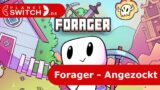 Forager (Switch) – Angezockt